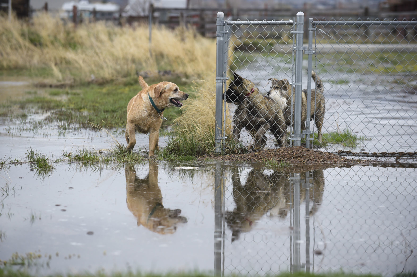Helena Valley Flooding